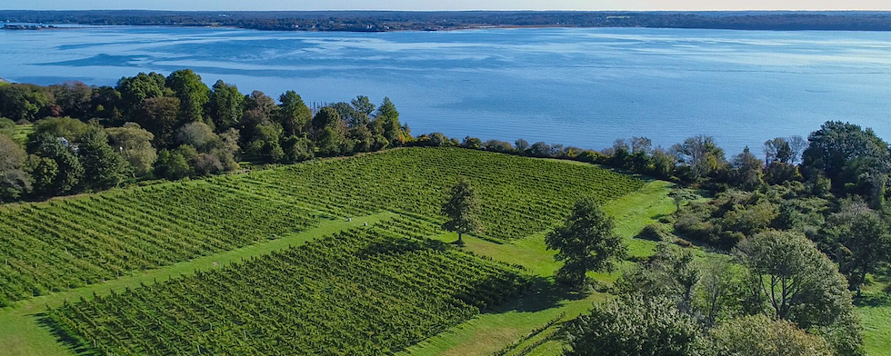 Tasting Room